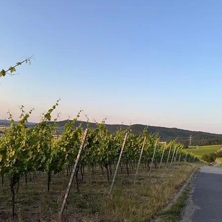 Panorama 180- By Interhome דירה קיצינגן