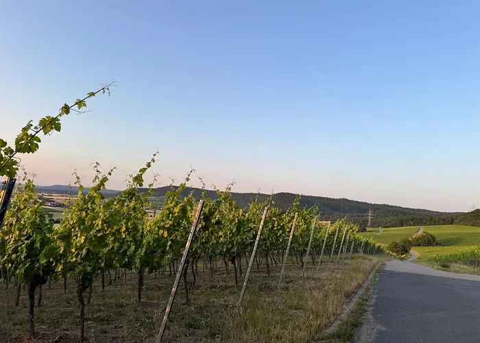 Panorama 180- By Interhome דירה קיצינגן